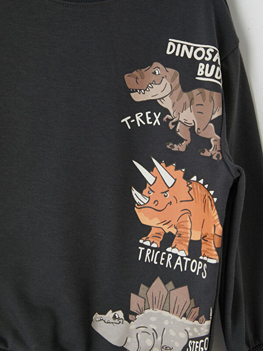 Dinozor Bask?l? Erkek ?ocuk Tak?m