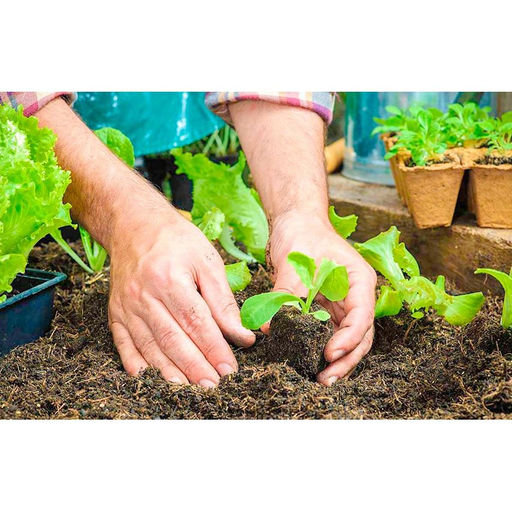 10шт. Таблетка кокосовая d60мм без оболочки