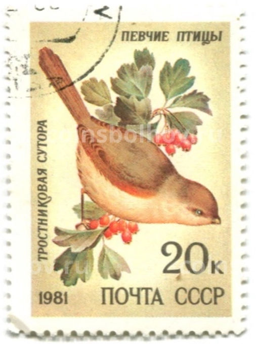 Марка Певчие птицы  Тростниковая сутора 1981 год