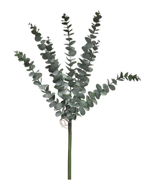 Эвкалипт BABY BLUE куст - Пыльно-зеленый - Real touch фото 3