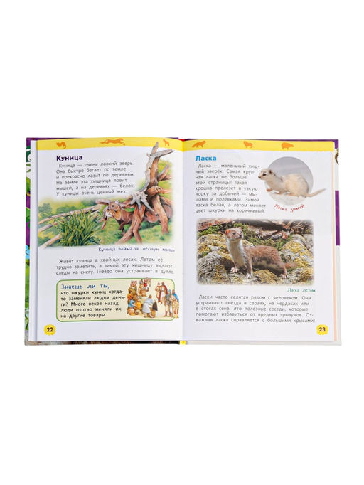 Цена за 2 шт. Детская энциклопедия «Дикие животные», 48 стр.