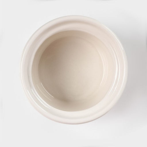 Банка для хранения сыпучих продуктов Доляна «Кактус», 170 мл, 8×8×15 см, керамическая