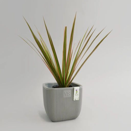 Горшок для цветов с дренажной системой Фабио VipSet 4,7 л серый (AMF-4,7-03) - Крассула фото 3