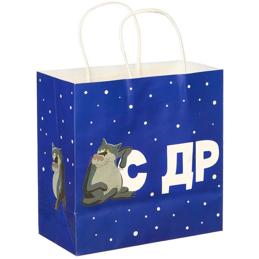 Пакет подарочный «С Др тебя если чо», 22×22×11 см, крафт, упаковка, Жил-был Пес