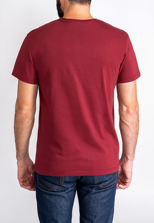 Футболка мужская короткий рукав GREG G146-RD-1061_R (бордовый)  фото 2