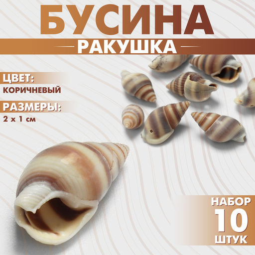Цена за 3 шт. Бусины для творчества «Ракушка», 2×1 см, завиток, набор 10 шт., коричневые