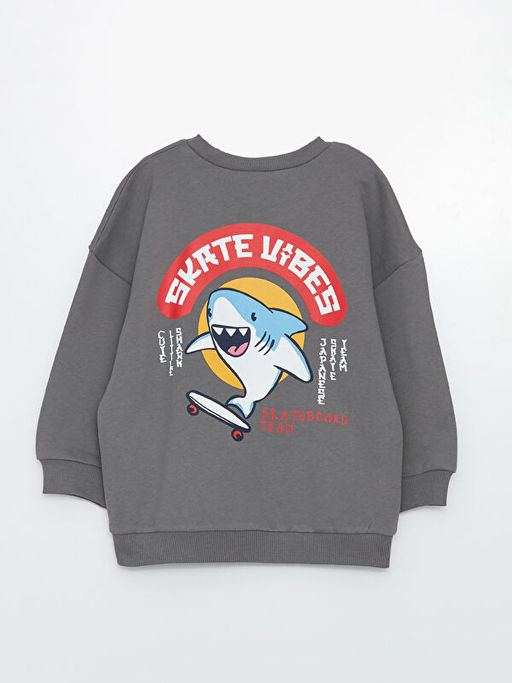 Bisiklet Yaka Uzun Kollu Bask?l? Erkek Bebek Sweatshirt - Waikiki фото 2