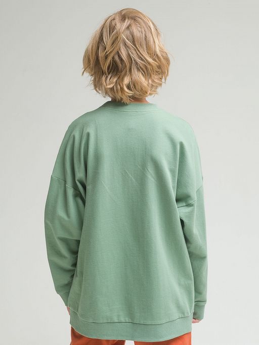 Pelican BFN4296 толстовка для мальчиков  фото 4