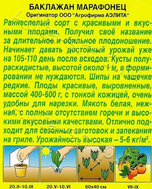 Баклажан Марафонец 0,1г (Аэлита)