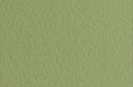Fabriano Бумага для пастели Tiziano 160 г/м2 A1+ 70 х 100 см лист 10 л. Muschio/Оливковый 52811014