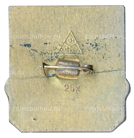 Значок Владимир