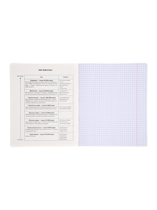 Комплект 12 предметных тетрадей 48 листов, справочная информация, 60 г, Пастель