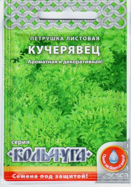Петрушка листовая Кучерявец "Кольчуга" 2г (НК)