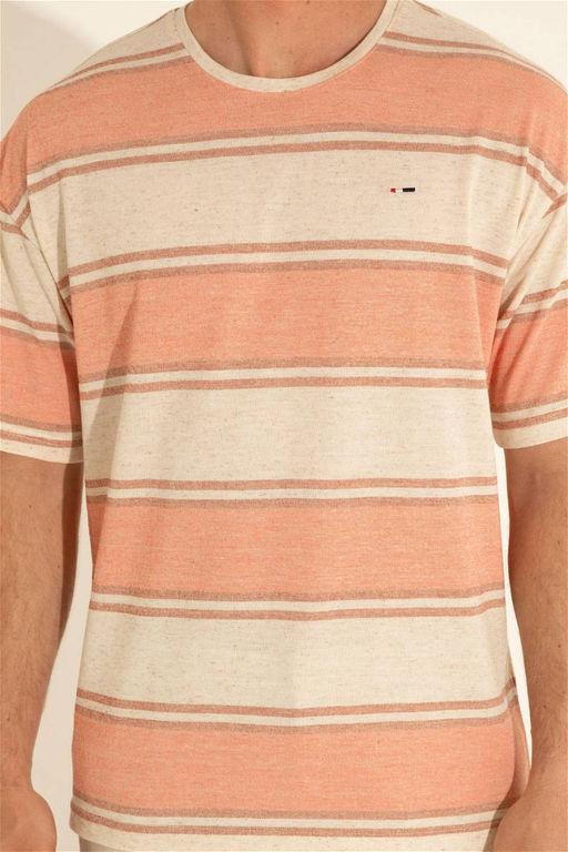 Мужская футболка с лососем - U.s. polo assn фото 14
