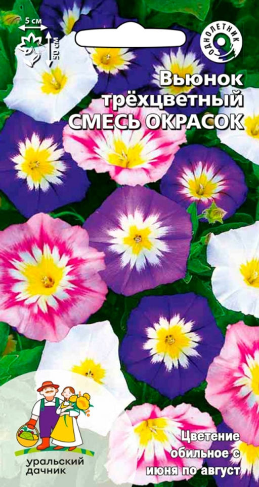 Вьюнок СМЕСЬ ОКРАСОК