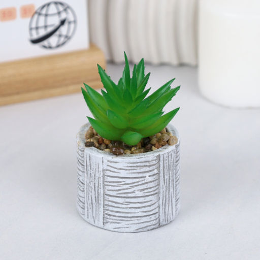 Цветочная композиция Кактус / WER-22 /уп 12/192/ микс - Галеонтрейд фото 14