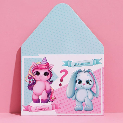 Цена за 5 шт. Конверт подарочный «Мальчик или девочка», 15 × 11 см