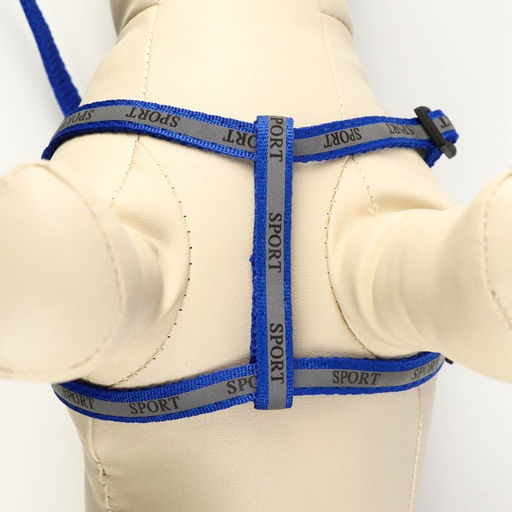 Комплект Спорт светоотражающий, поводок 120 х 1 см, ОГ 23-35 см, синий - Пижон фото 6