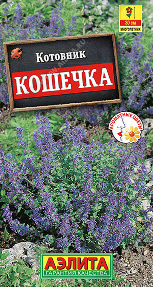 1532A Котовник Кошечка 0,2гр