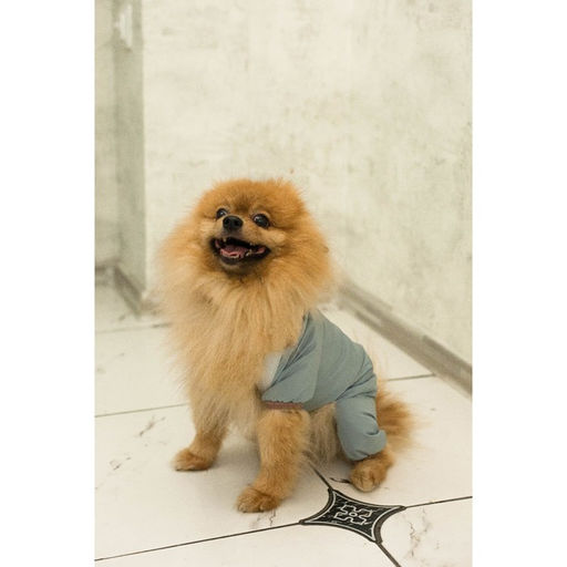 Комбинезон зимний для животных, флис, XS (ДС 18-20, ОГ 30-32 см, ОШ 24 см), серый - Пижон фото 20