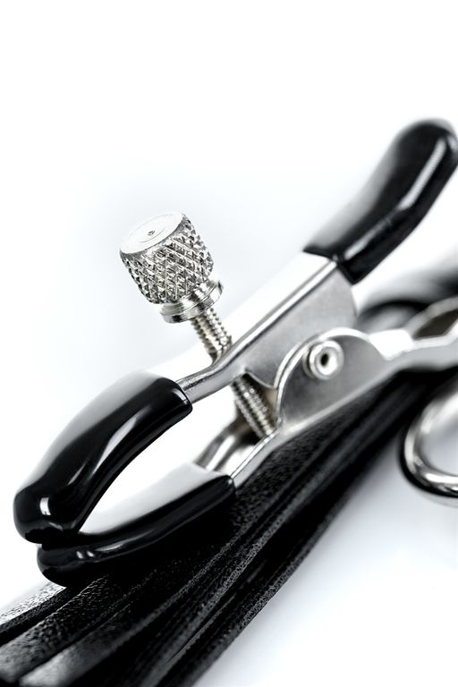 Зажимы для сосков TOYFA Theatre с кисточками, черные