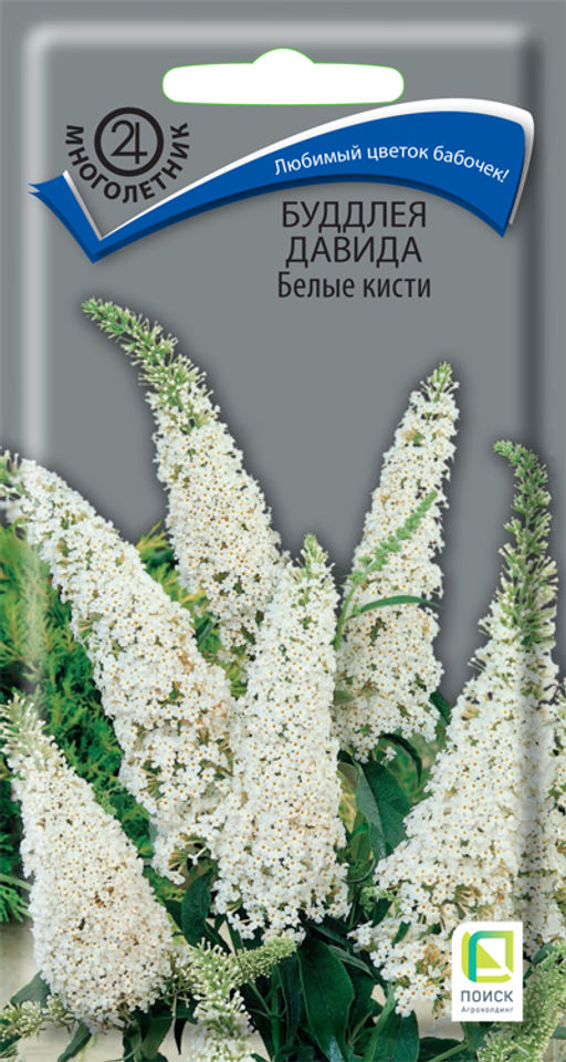 Буддлея Давида Белые кисти (ЦВ) ("М) 0,01гр.