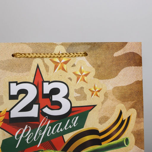 Цена за 2 шт. Пакет подарочный ламинированный, упаковка, С 23 февраля, ML 25?21?8 см