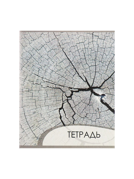 Комплект тетрадей из 4 штук, 96 листов в клетку Calligrata "Текстура 2", обложка мелованный картон, блок офсет