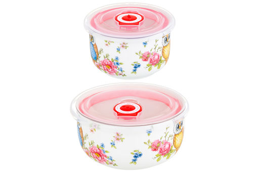 Набор 2 салатников - 13*13*6,5 см 560 мл+10,5*10,5*6 см 260 мл Совушки с плас.крыш. NEW BONE CHINA - Elan gallery фото 20