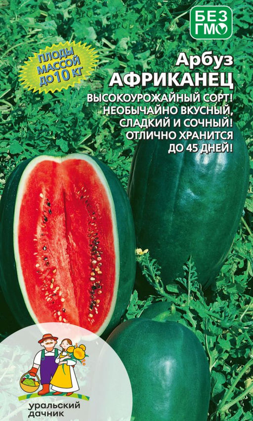Арбуз АФРИКАНЕЦ Плоды массой до 10 кг! Высокоурожайный сорт! Необычайно вкусный, сладкий и сочный! Отлично хранится до 45 дней!