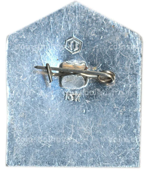 Значок Самарканд