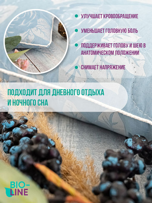 Подушка Bio-Line с лузгой гречихи PG40.60