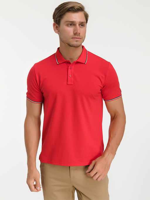 Джемпер мужской с воротником поло короткий рукав GREG G144-TS-3 (красный)  фото 6