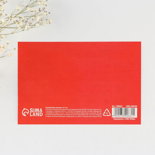 Цена за 3 шт. Открытка, лотерейный билет Замур-р-рчательное будущее, 10?15 см