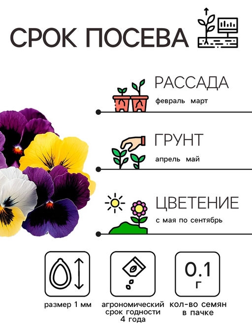 Цена за 2 шт. Семена цветов Виола «Шведские гиганты», 0.1 г, «Рецепты дедушки Никиты»