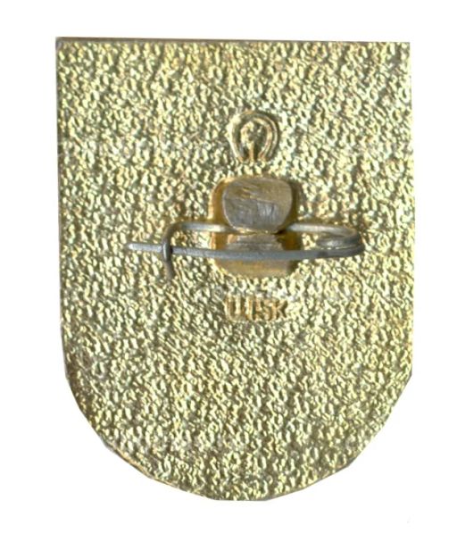 Значок СО Водник