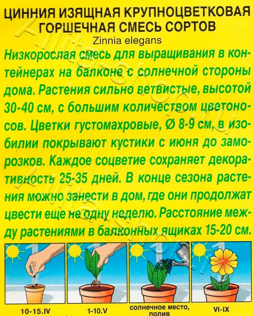 Цинния Крупноцветковая горшечная (смесь сортов) 12шт. (Аэлита)