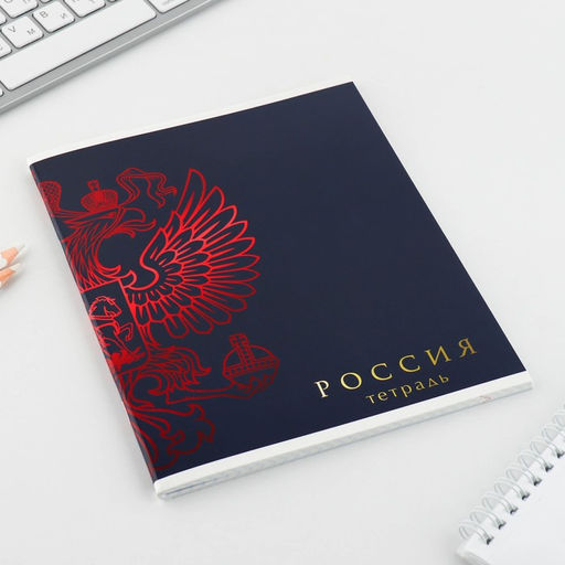 Тетрадь А5, 48 л на скрепке МИКС Шрифтовые яркие, обложка мелованный картон 230 гр., внутренний блок №1, в клетку 80 гр., белизна 96% - Artfox study фото 13