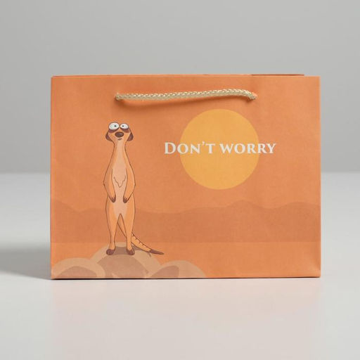 Цена за 2 шт. Пакет подарочный, упаковка, Don not worry, 14.5×19.5×8.5 см