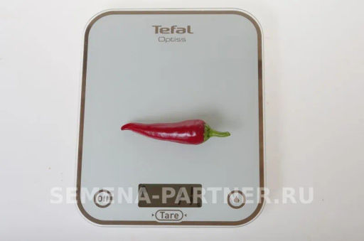 Перец острый Стаси - Партнер фото 3