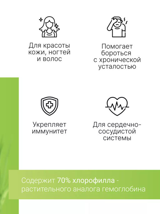 Витграсс порошок Пермиум 100г (состав: 100% порошок из сока молодых зеленых ростков пшеницы (Wheat g - Sneko Gold фото 22