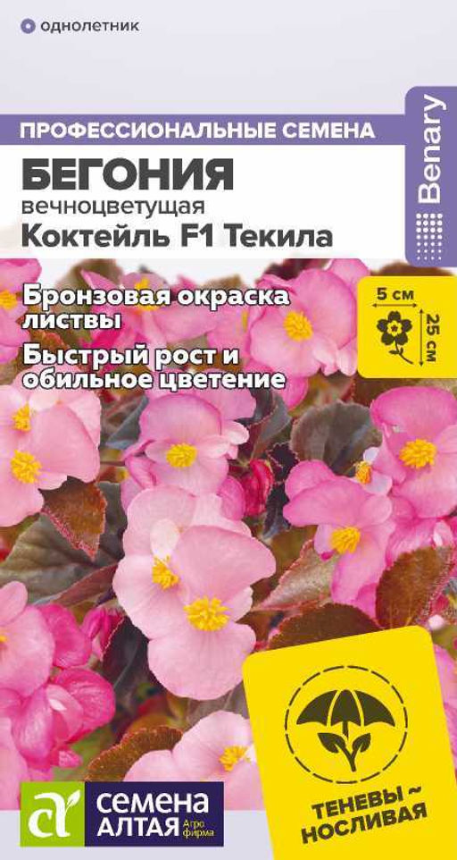 Цветы Бегония Коктейль F1 Текила вечноцветущая/Сем Алт/цп 5 шт. НОВИНКА
