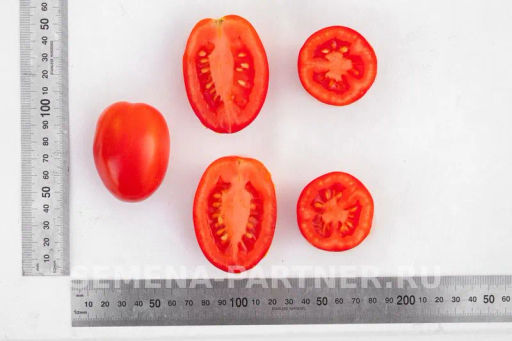 Томат Везувий - Партнер фото 6