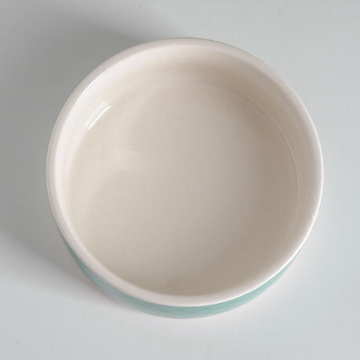Миска керамическая Сеточка 200 мл - 10.510.54 см, белая/мятная - Пижон фото 4