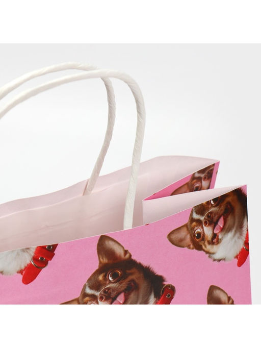 Цена за 2 шт. Пакет подарочный, упаковка, Киса, 22?22?11 см