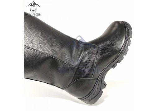 Сапоги мужские Сибирь, черные, литая подошва