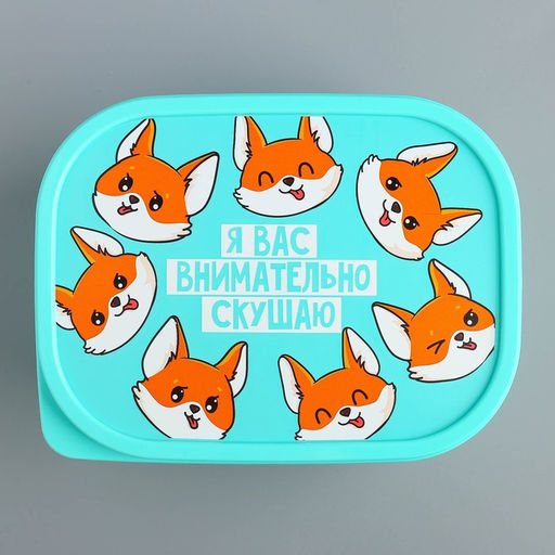 Цена за 2 шт. Ланч - бокс прямоугольный «Я вас внимательно скушаю», 500 мл