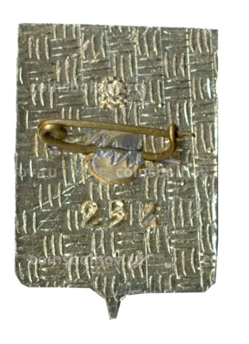 Значок Копейск