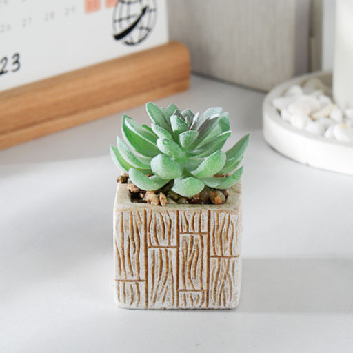 Цветочная композиция Кактус / WER-15 /уп 12/288/ микс - Галеонтрейд фото 10