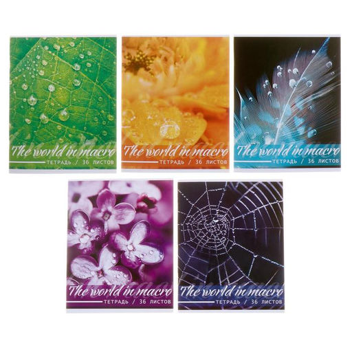 Цена за 5 шт. Тетрадь 36 листов в клетку, Calligrata «Микромир», обложка мелованный картон, МИКС